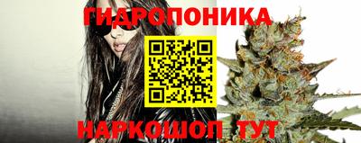 mdpv Кингисепп