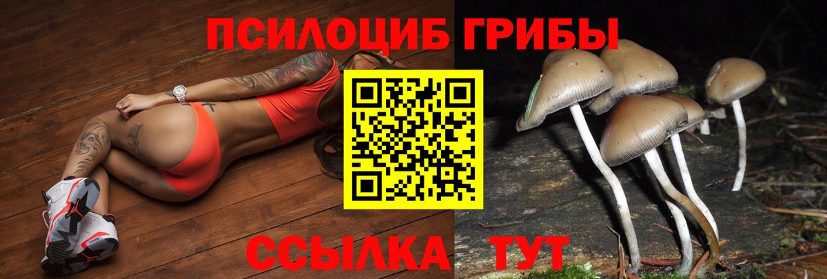 Галлюциногенные грибы прущие грибы Феодосия